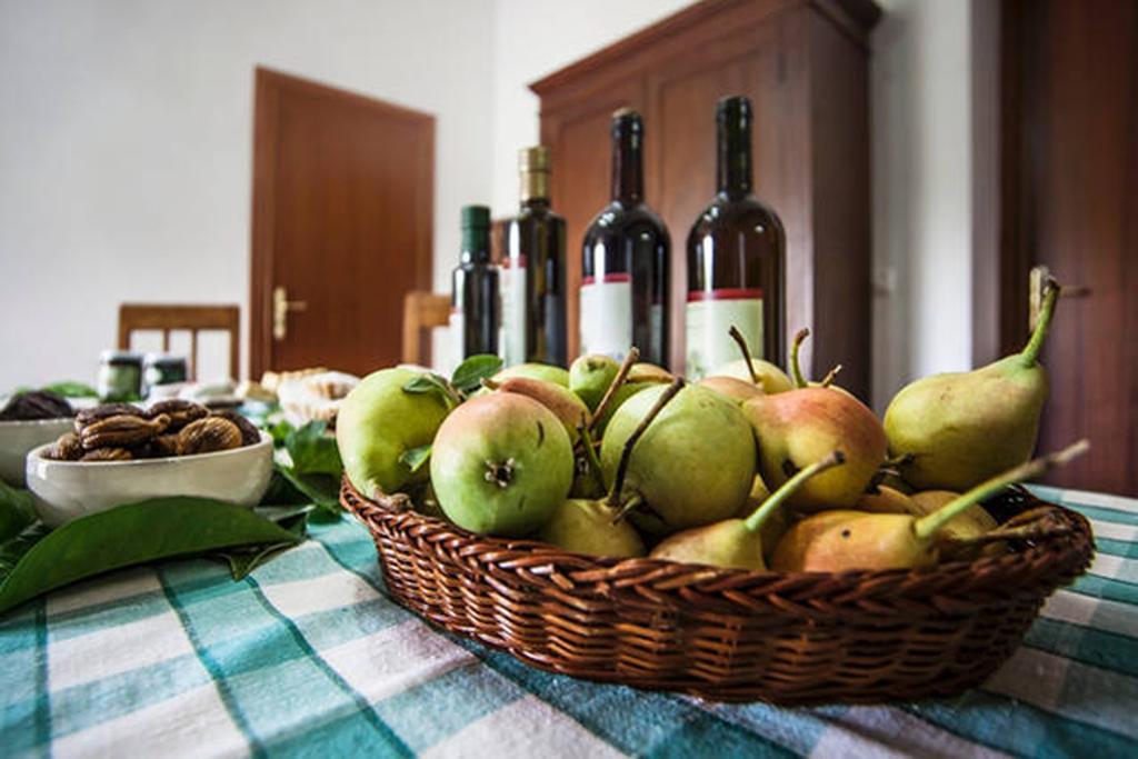 Agriturismo Miracco Atanasio Franco "Il Maniero" Santa Sofia d'Epiro エクステリア 写真