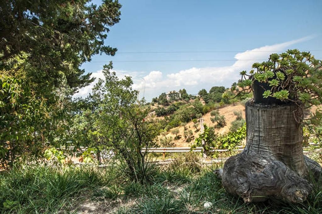 Agriturismo Miracco Atanasio Franco "Il Maniero" Santa Sofia d'Epiro エクステリア 写真