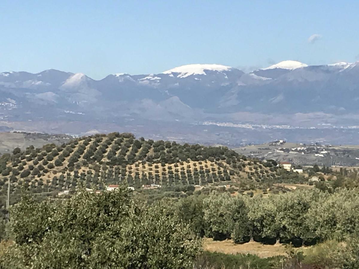 Agriturismo Miracco Atanasio Franco "Il Maniero" Santa Sofia d'Epiro エクステリア 写真
